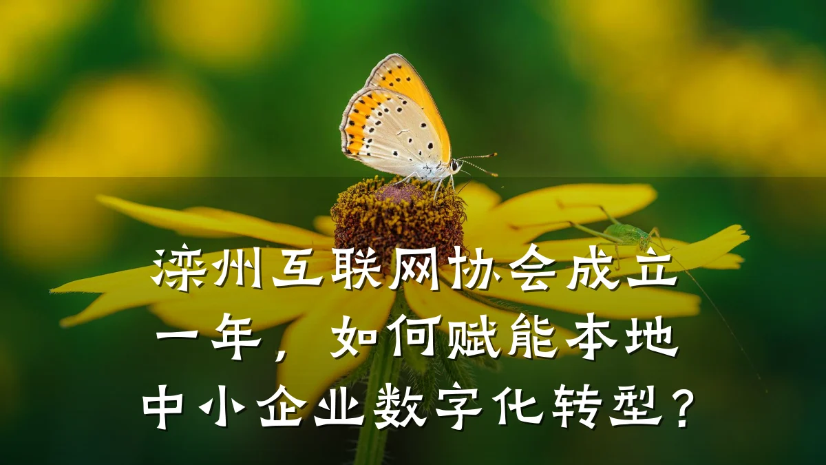 滦州互联网协会成立一年，如何赋能本地中小企业数字化转型？
