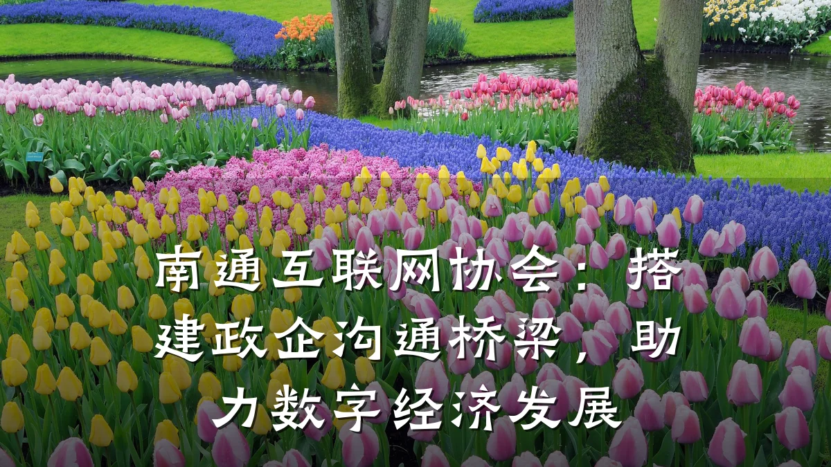 南通互联网协会：搭建政企沟通桥梁，助力数字经济发展