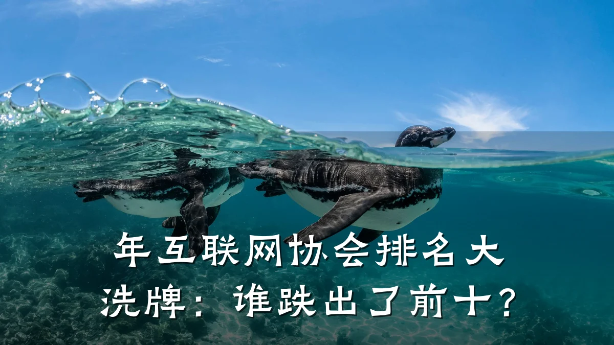 年互联网协会排名大洗牌:谁跌出了前十?