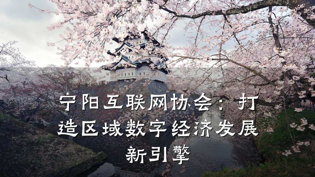 宁阳互联网协会：打造区域数字经济发展新引擎
