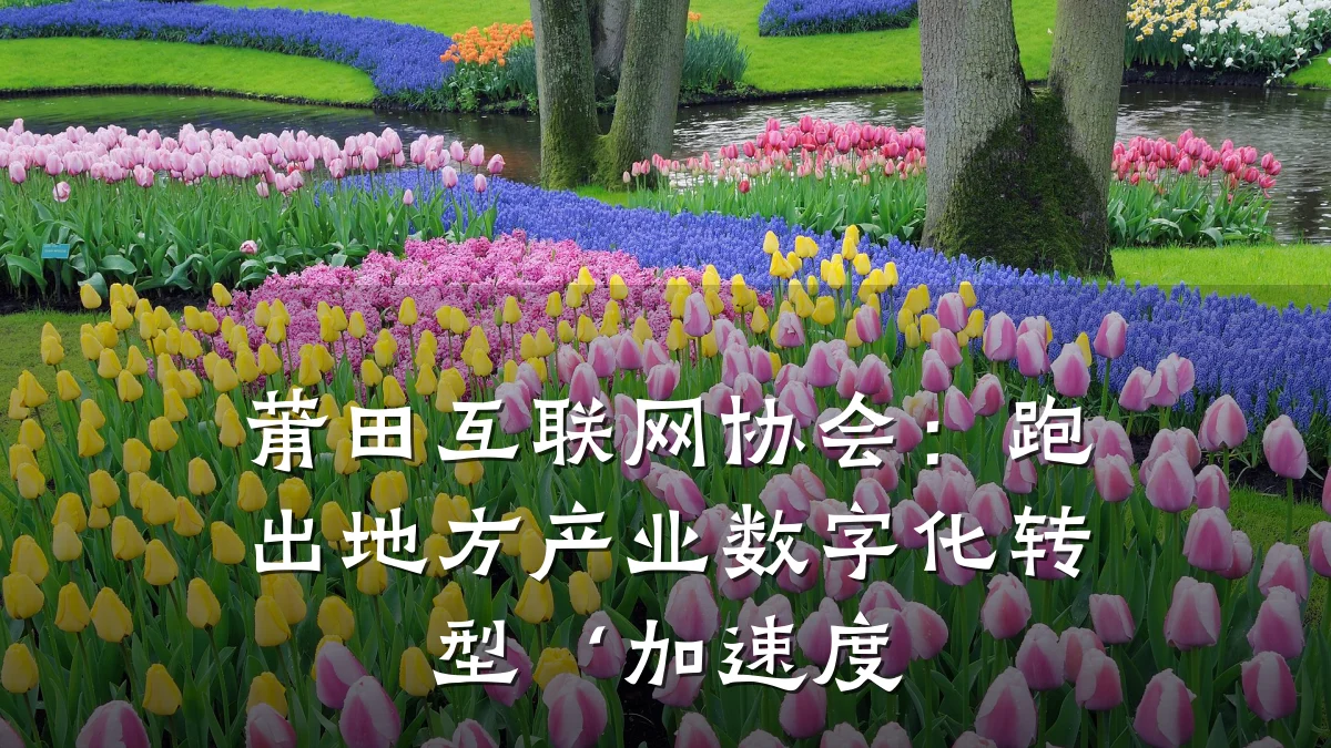 莆田互联网协会:跑出地方产业数字化转型‘加速度