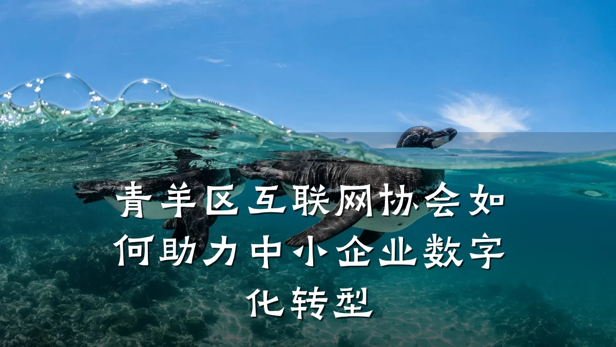 青羊区互联网协会如何助力中小企业数字化转型
