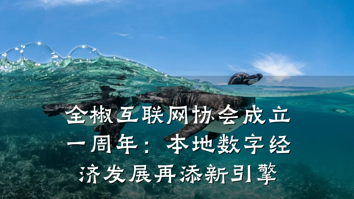 全椒互联网协会成立一周年:本地数字经济发展再添新引擎