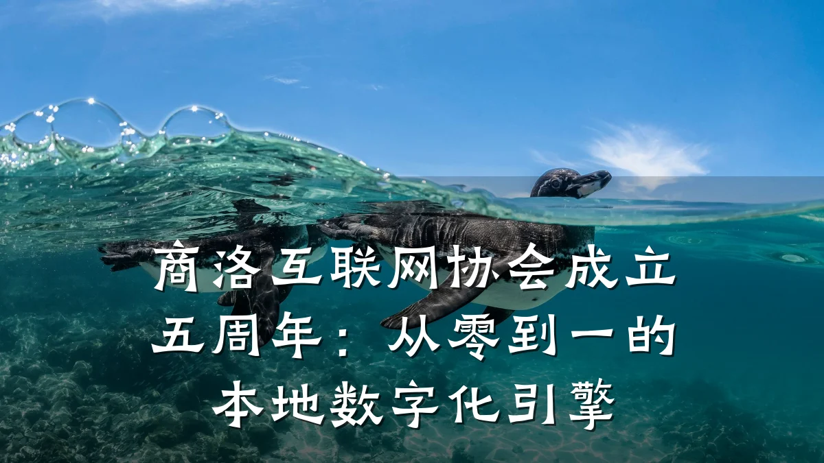 商洛互联网协会成立五周年:从零到一的本地数字化引擎
