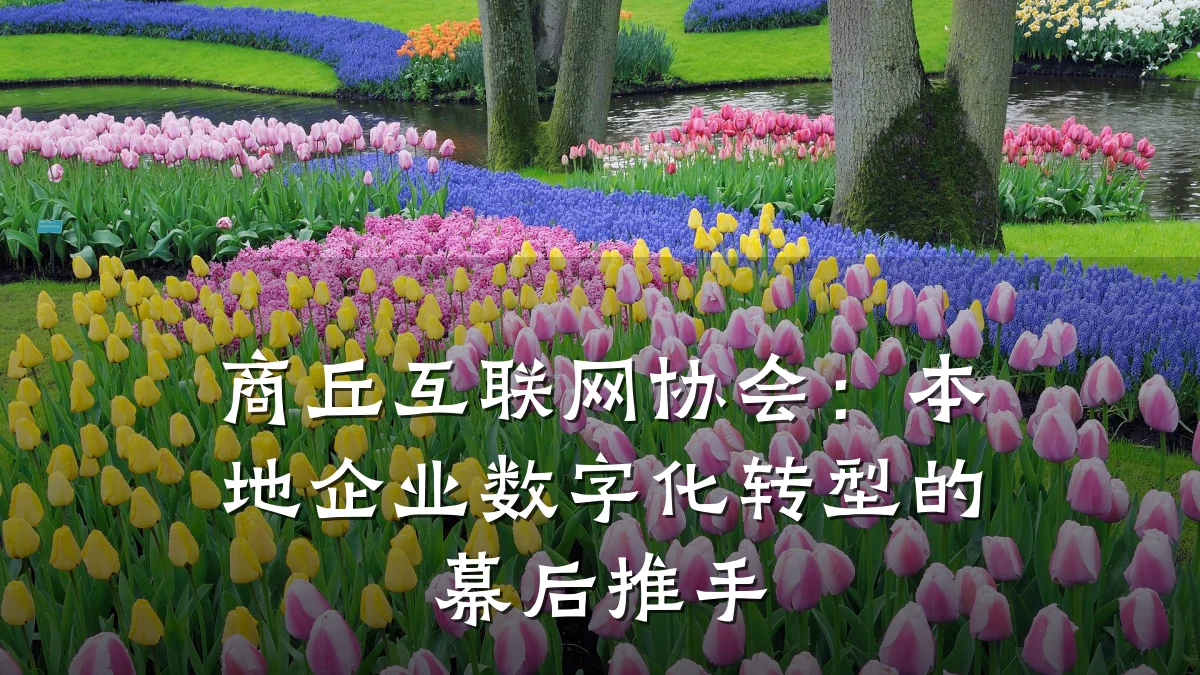 商丘互联网协会:本地企业数字化转型的幕后推手