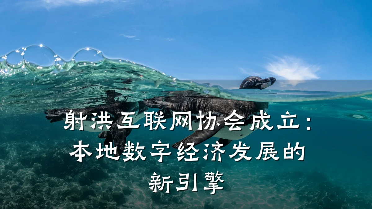 射洪互联网协会成立:本地数字经济发展的新引擎