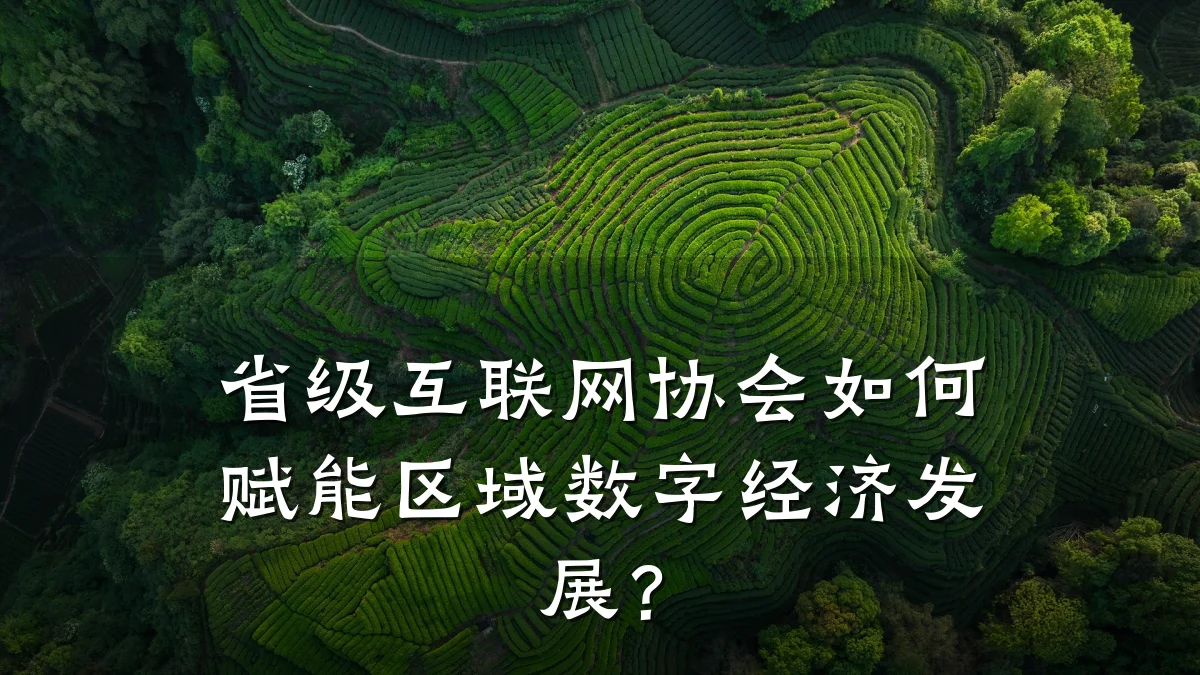 省级互联网协会如何赋能区域数字经济发展?