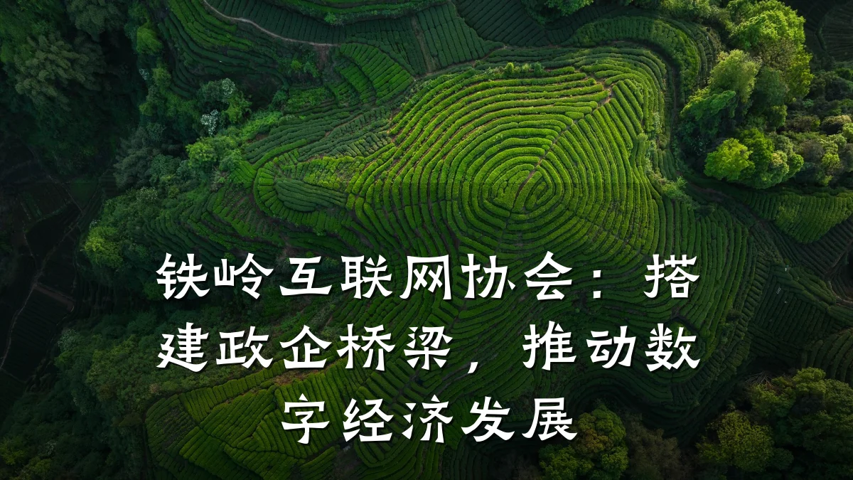 铁岭互联网协会:搭建政企桥梁,推动数字经济发展