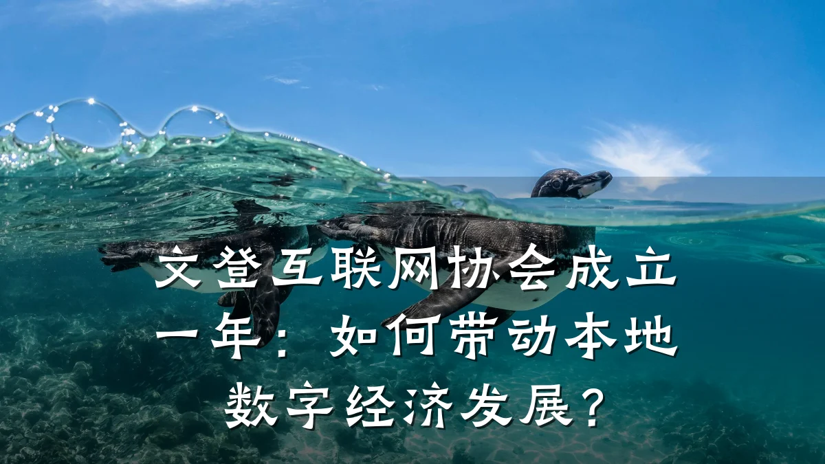 文登互联网协会成立一年:如何带动本地数字经济发展?