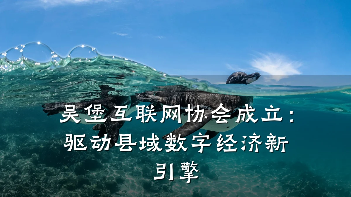 吴堡互联网协会成立:驱动县域数字经济新引擎