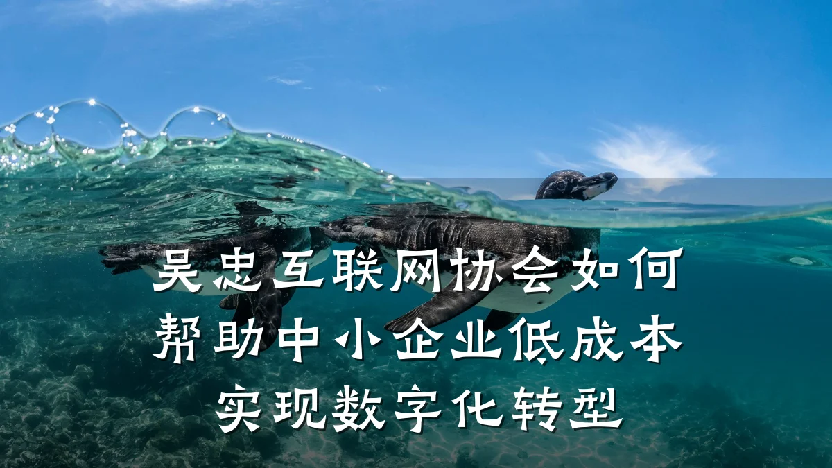 吴忠互联网协会如何帮助中小企业低成本实现数字化转型