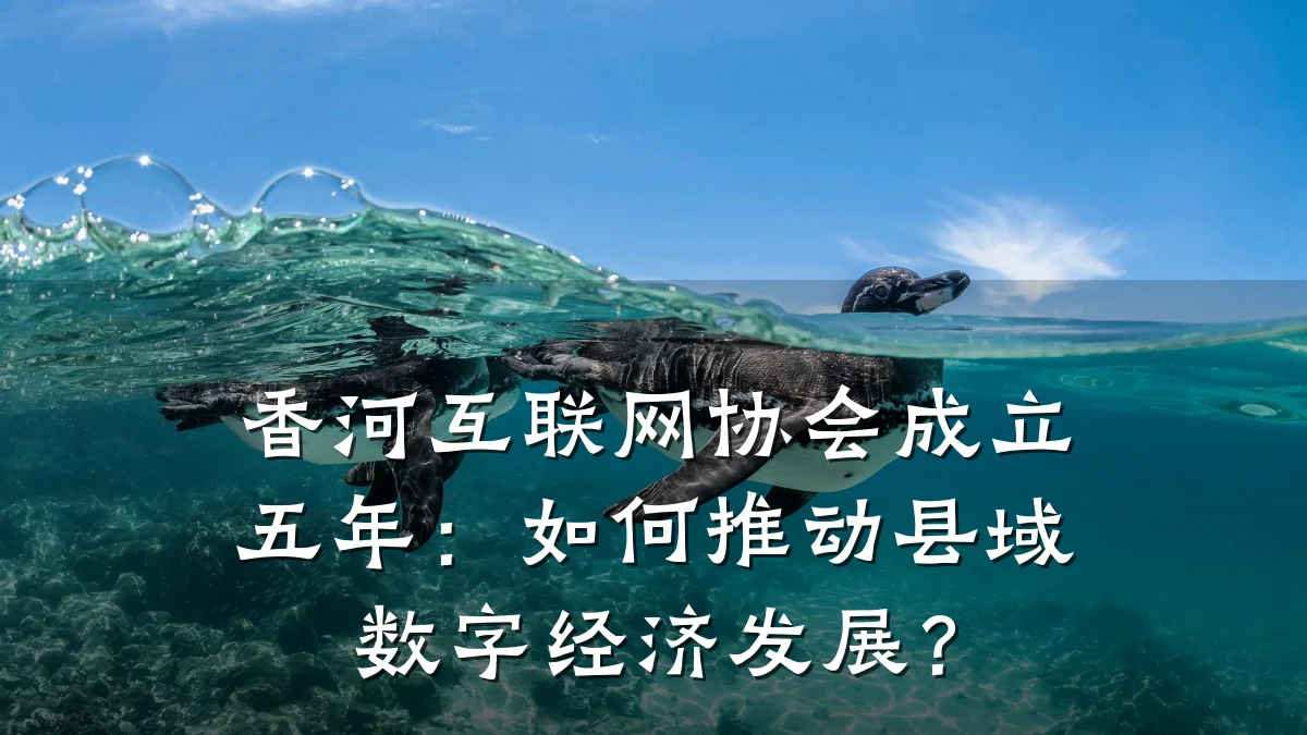 香河互联网协会成立五年：如何推动县域数字经济发展？