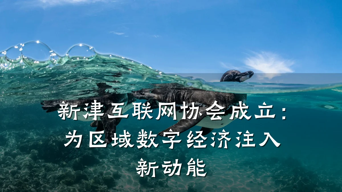 新津互联网协会成立:为区域数字经济注入新动能