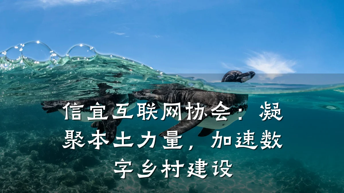 信宜互联网协会：凝聚本土力量，加速数字乡村建设