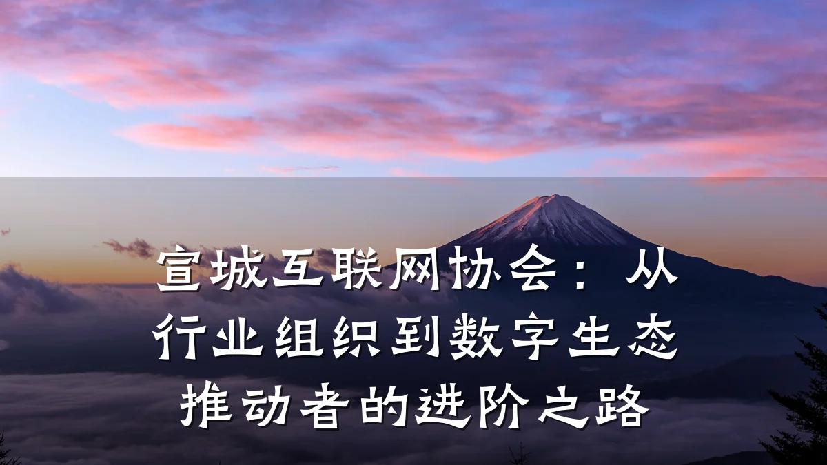 宣城互联网协会:从行业组织到数字生态推动者的进阶之路