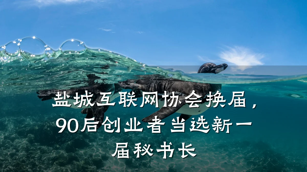 盐城互联网协会换届,90后创业者当选新一届秘书长