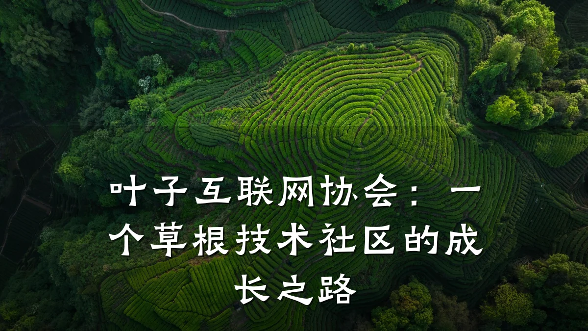 叶子互联网协会:一个草根技术社区的成长之路