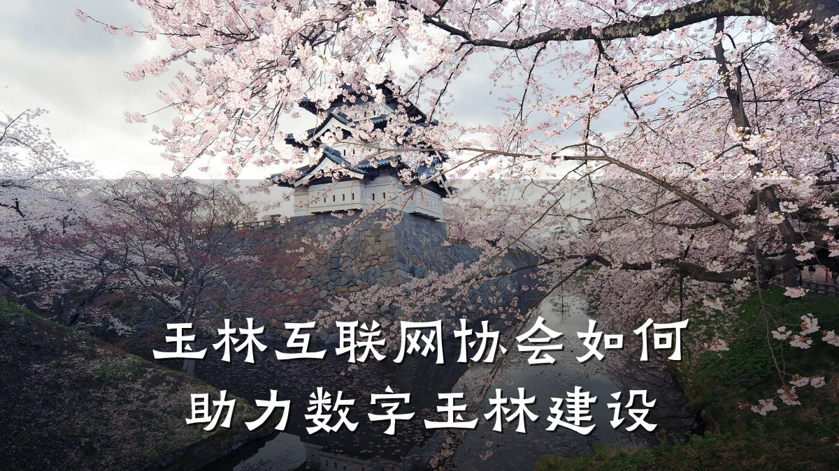 玉林互联网协会如何助力数字玉林建设