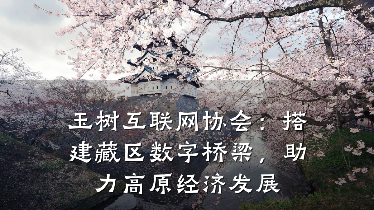 玉树互联网协会:搭建藏区数字桥梁,助力高原经济发展