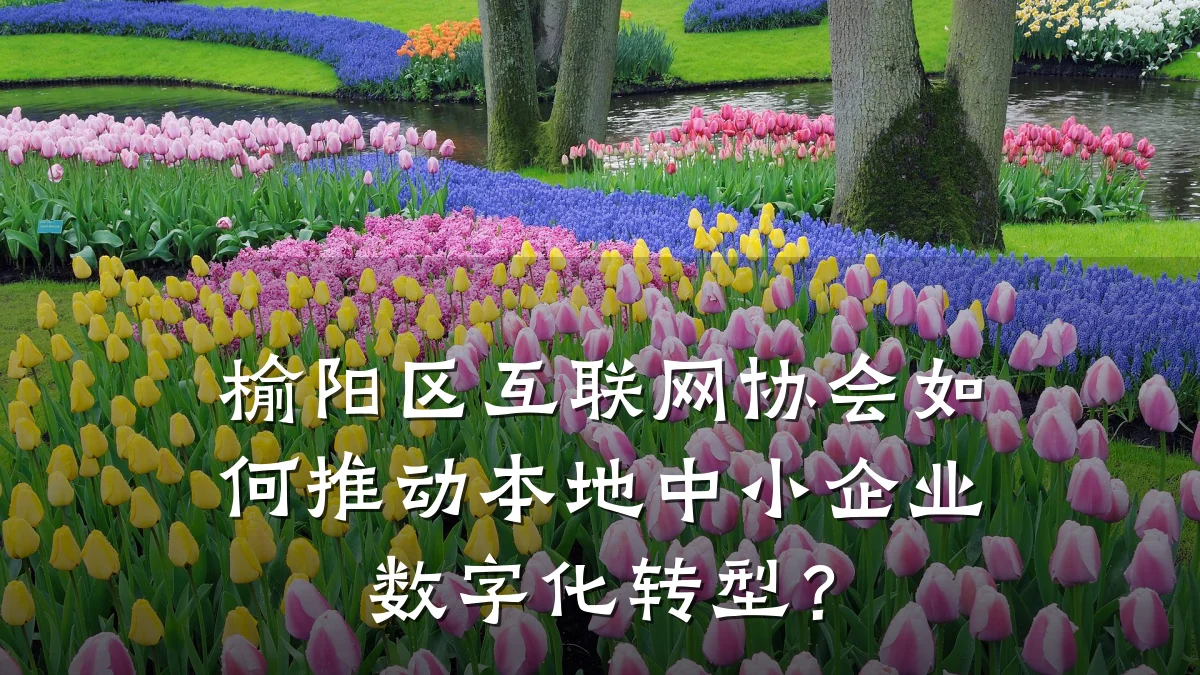 榆阳区互联网协会如何推动本地中小企业数字化转型?