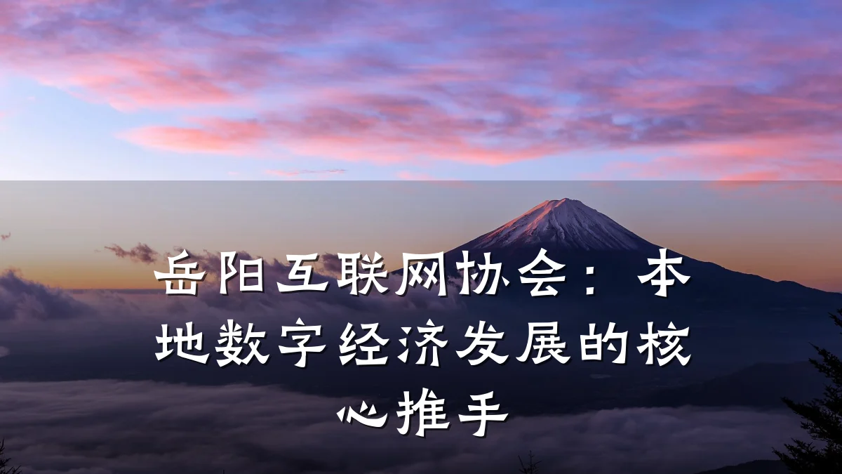 岳阳互联网协会:本地数字经济发展的核心推手