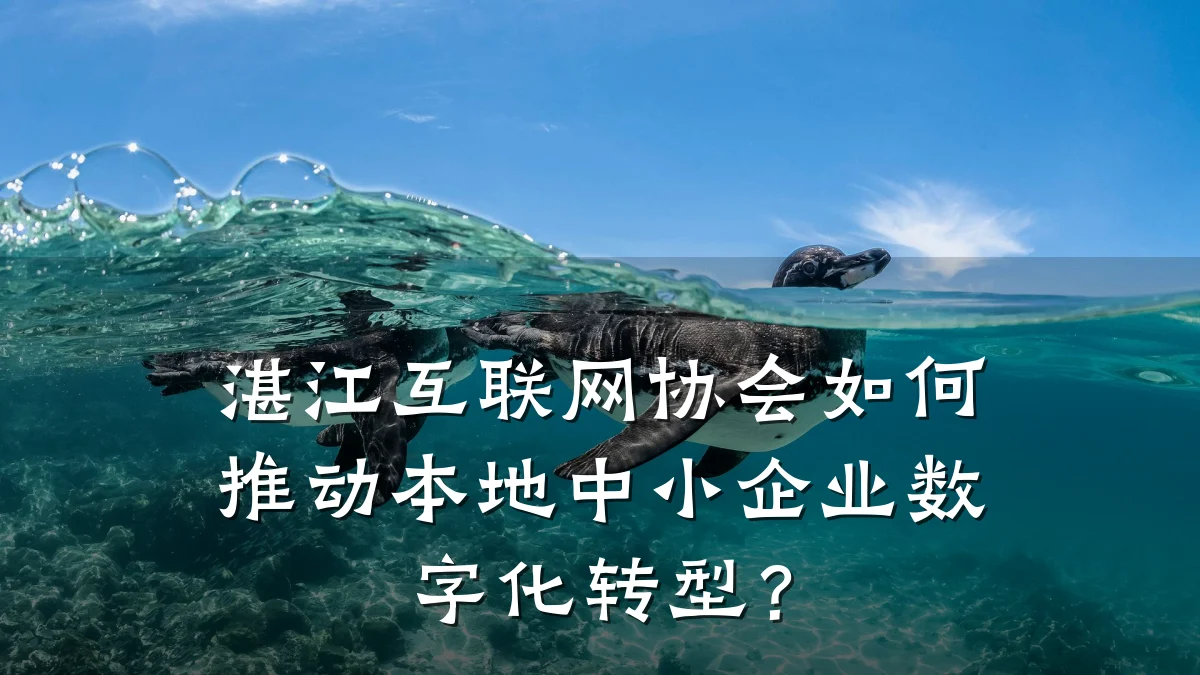 湛江互联网协会如何推动本地中小企业数字化转型?