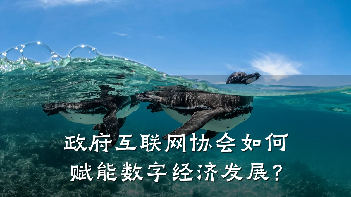 政府互联网协会如何赋能数字经济发展？