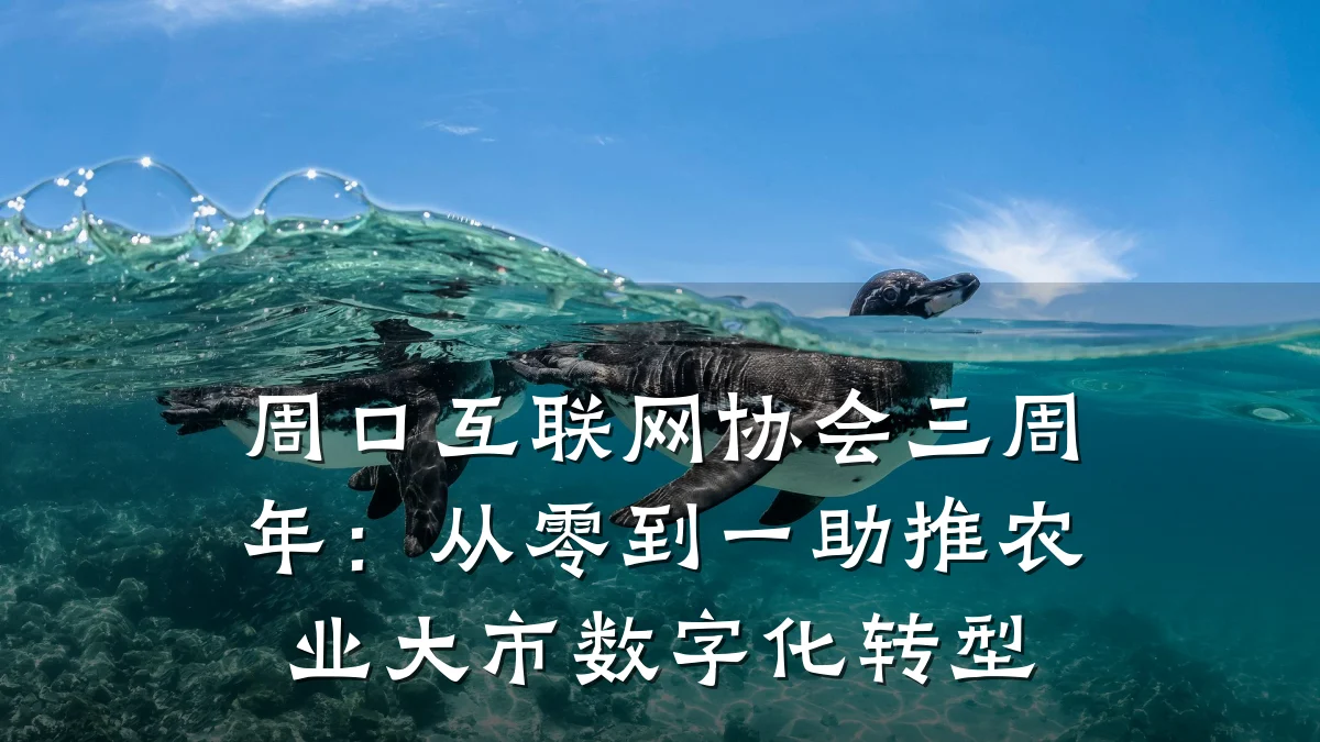 周口互联网协会三周年:从零到一助推农业大市数字化转型