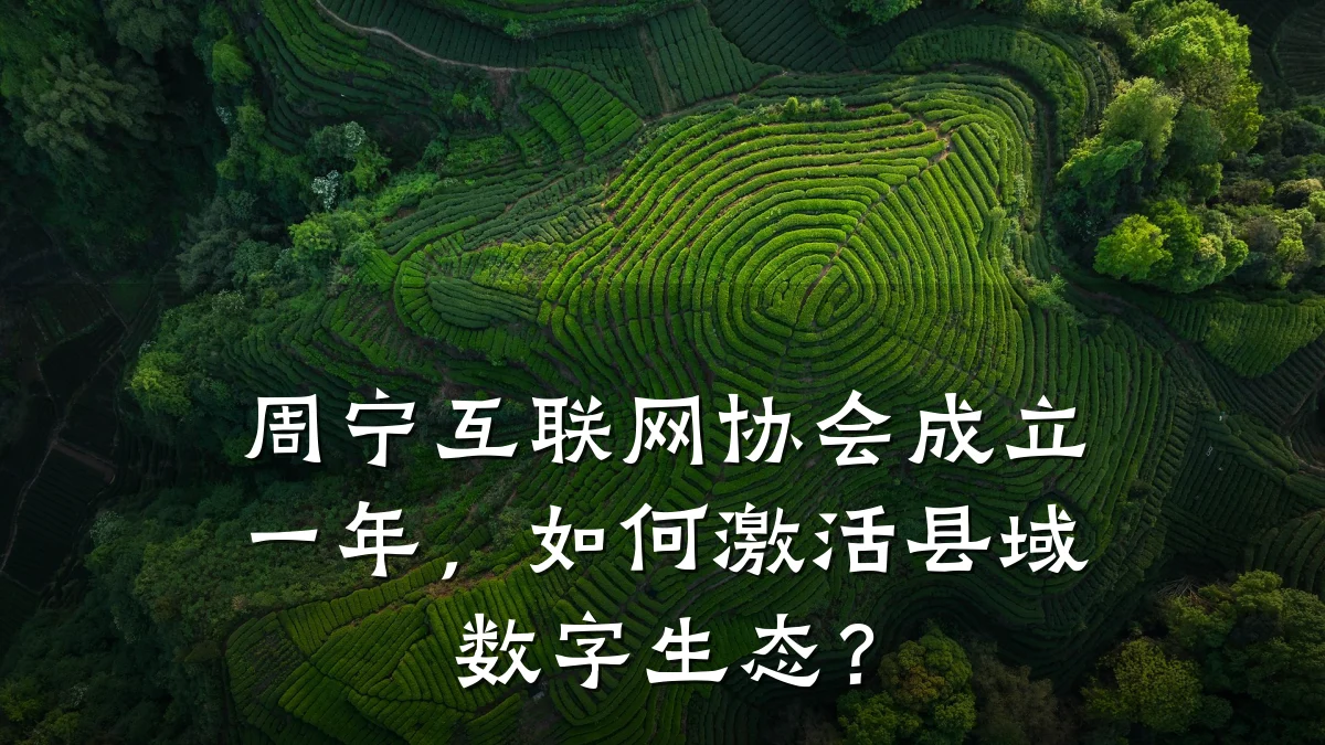 周宁互联网协会成立一年,如何激活县域数字生态?