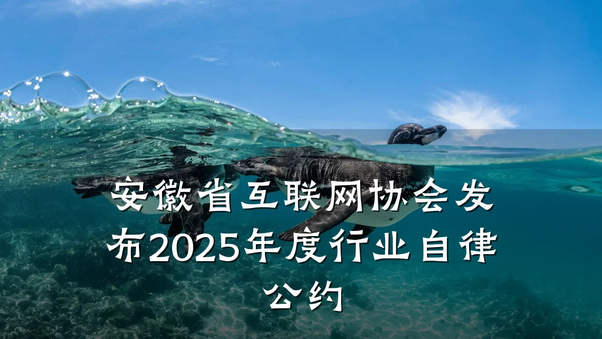 安徽省互联网协会发布2025年度行业自律公约