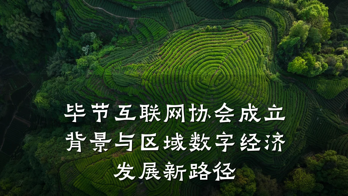 毕节互联网协会成立背景与区域数字经济发展新路径