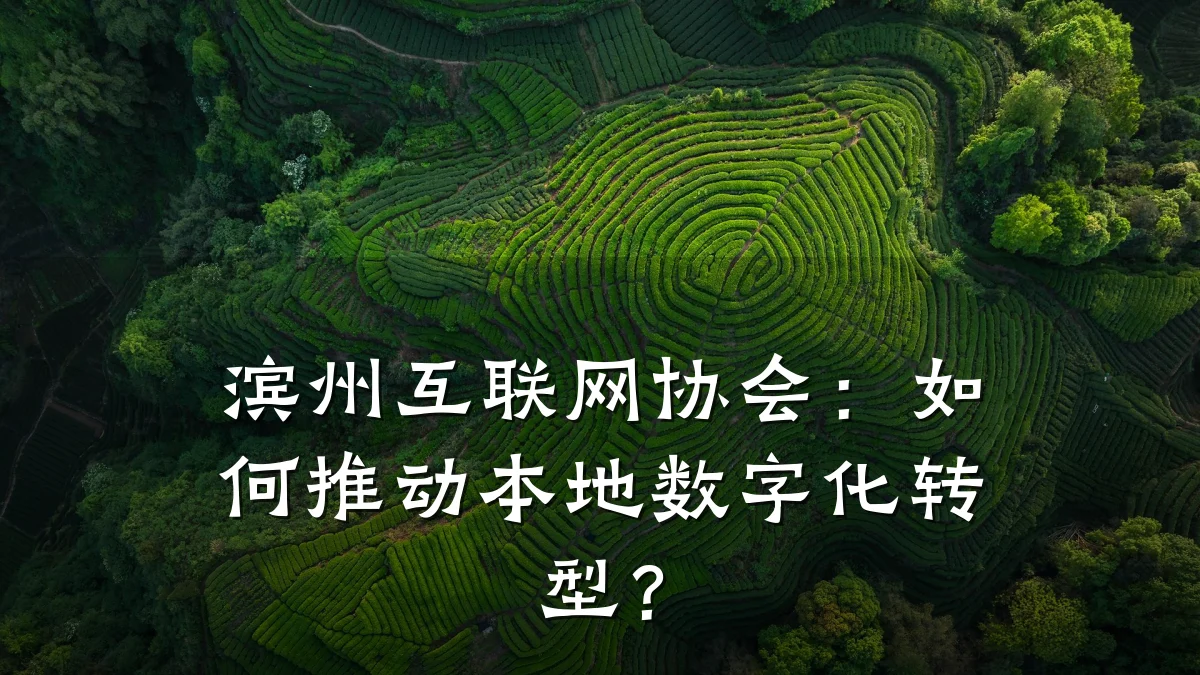滨州互联网协会:如何推动本地数字化转型?