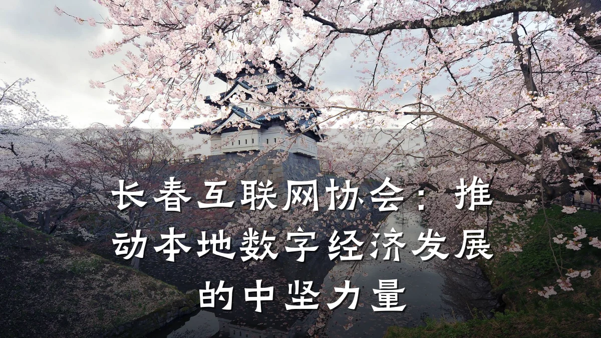 长春互联网协会:推动本地数字经济发展的中坚力量