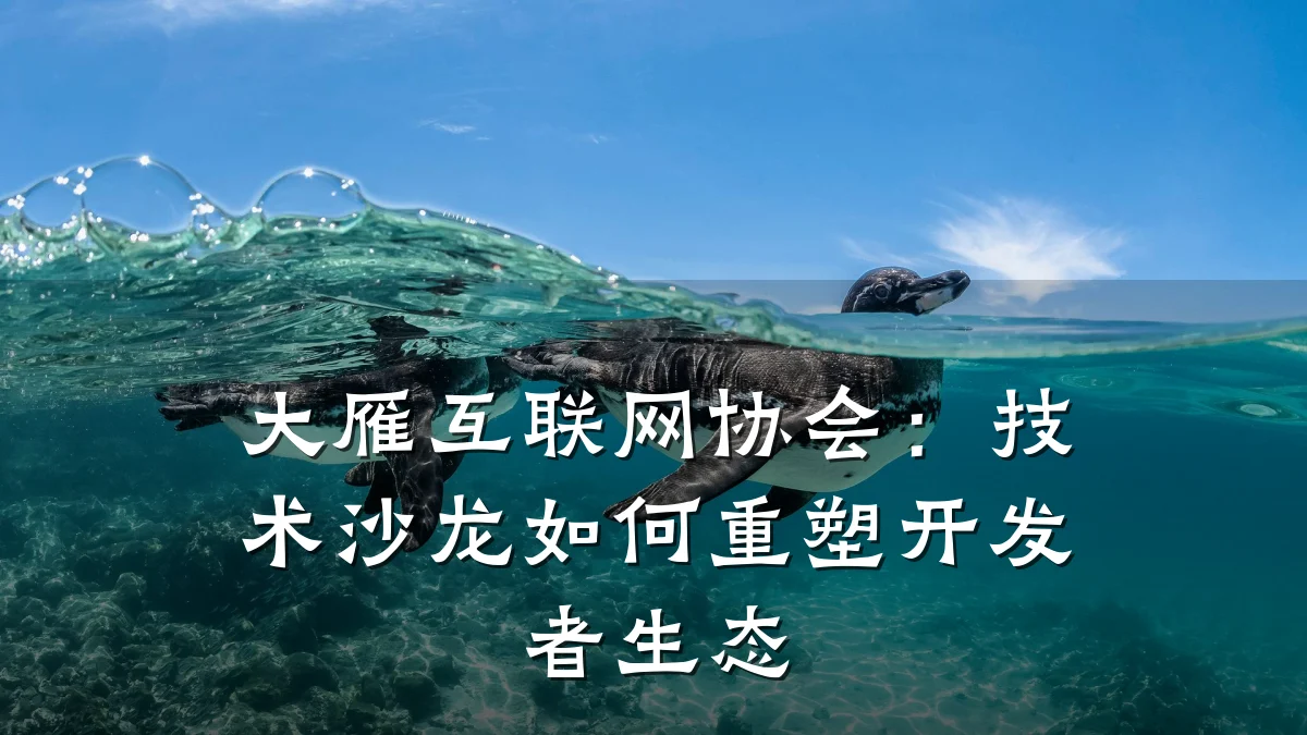 大雁互联网协会:技术沙龙如何重塑开发者生态