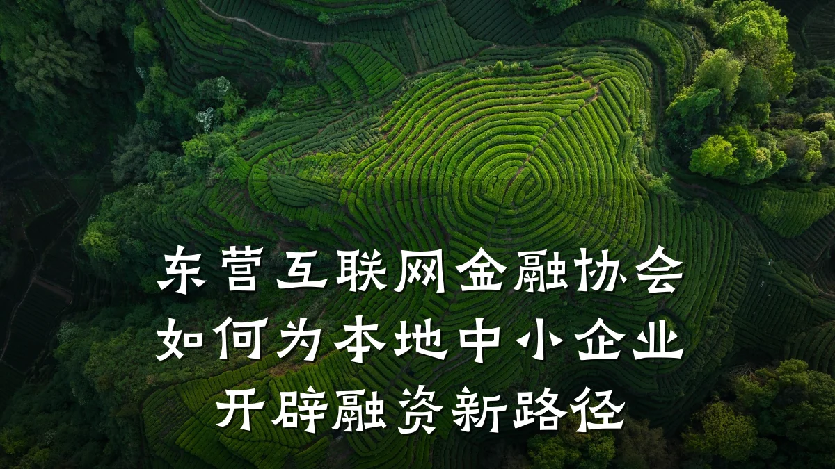 东营互联网金融协会如何为本地中小企业开辟融资新路径