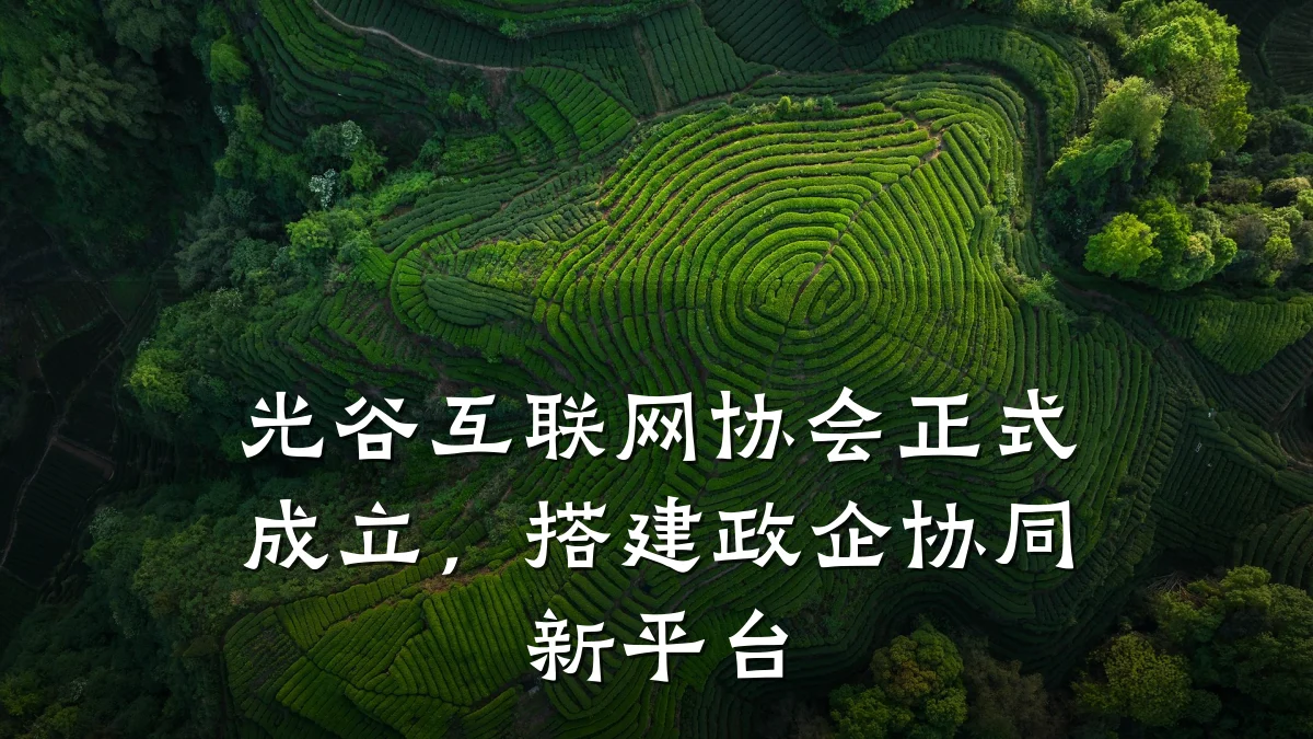 光谷互联网协会正式成立，搭建政企协同新平台