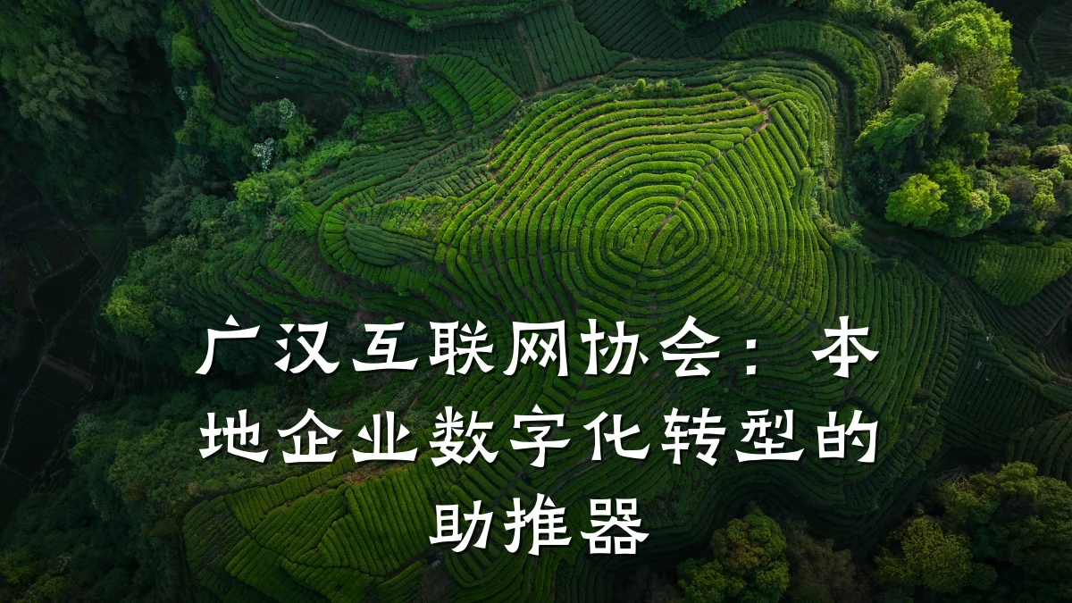 广汉互联网协会:本地企业数字化转型的助推器