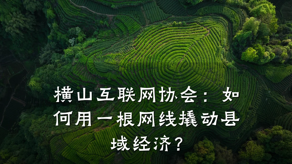 横山互联网协会:如何用一根网线撬动县域经济?