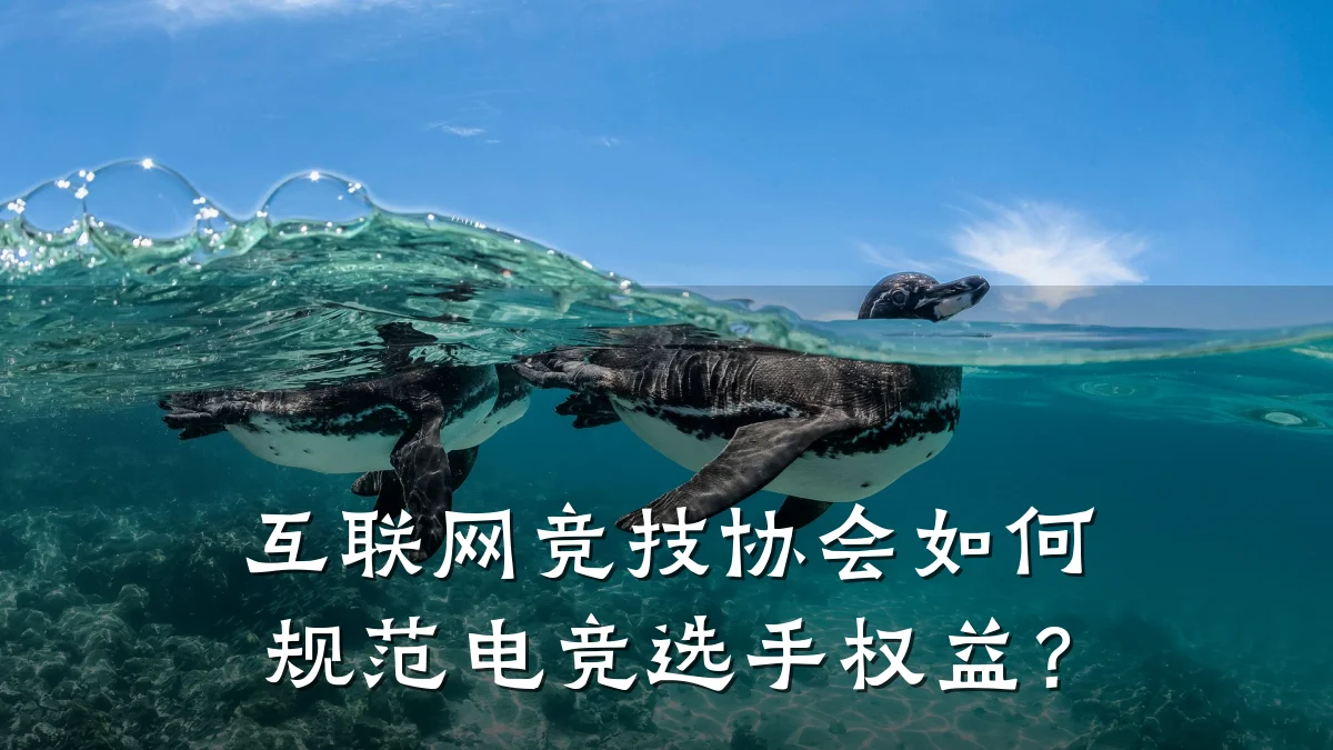 互联网竞技协会如何规范电竞选手权益？