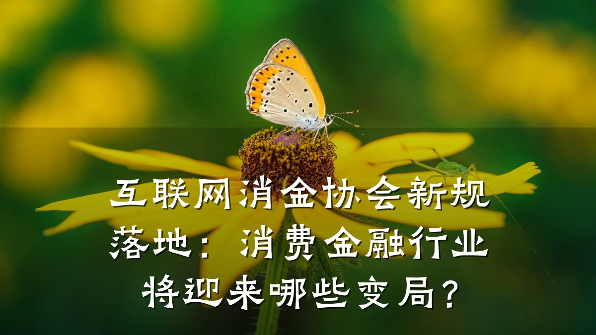 互联网消金协会新规落地：消费金融行业将迎来哪些变局？