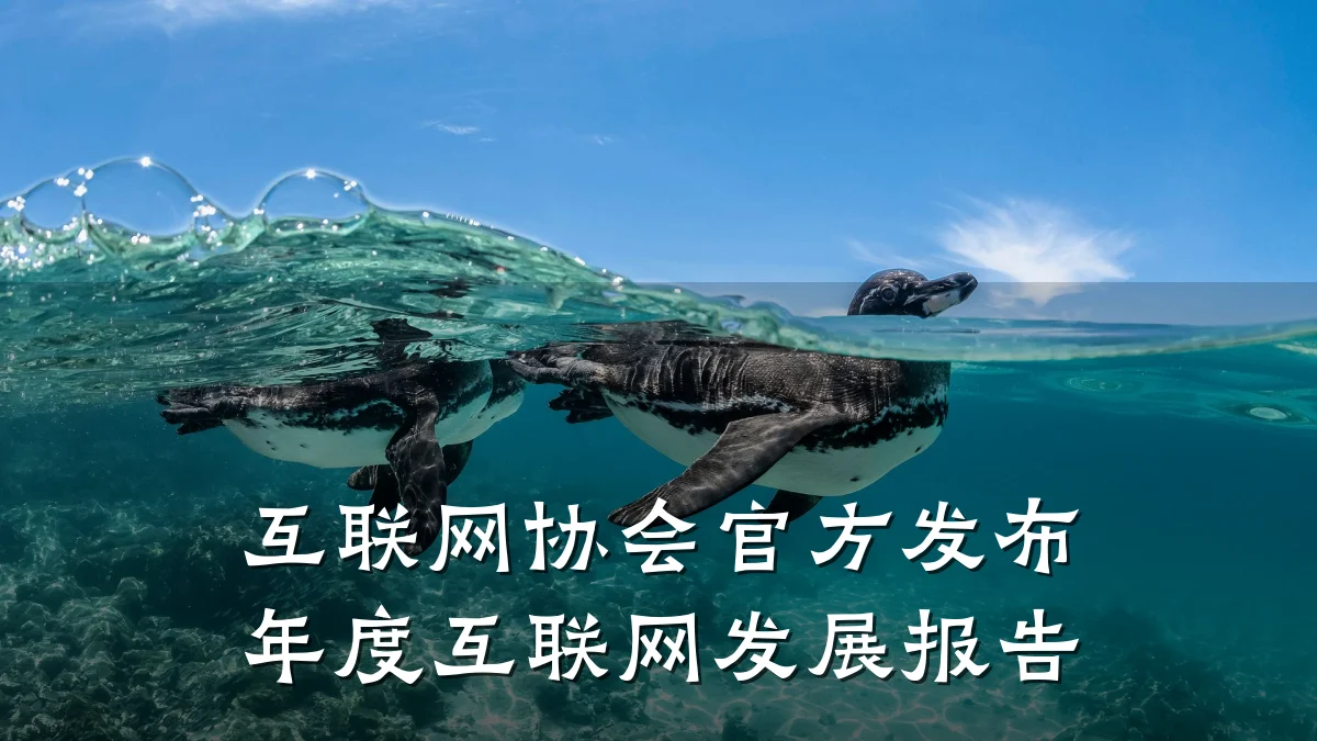 互联网协会官方发布年度互联网发展报告
