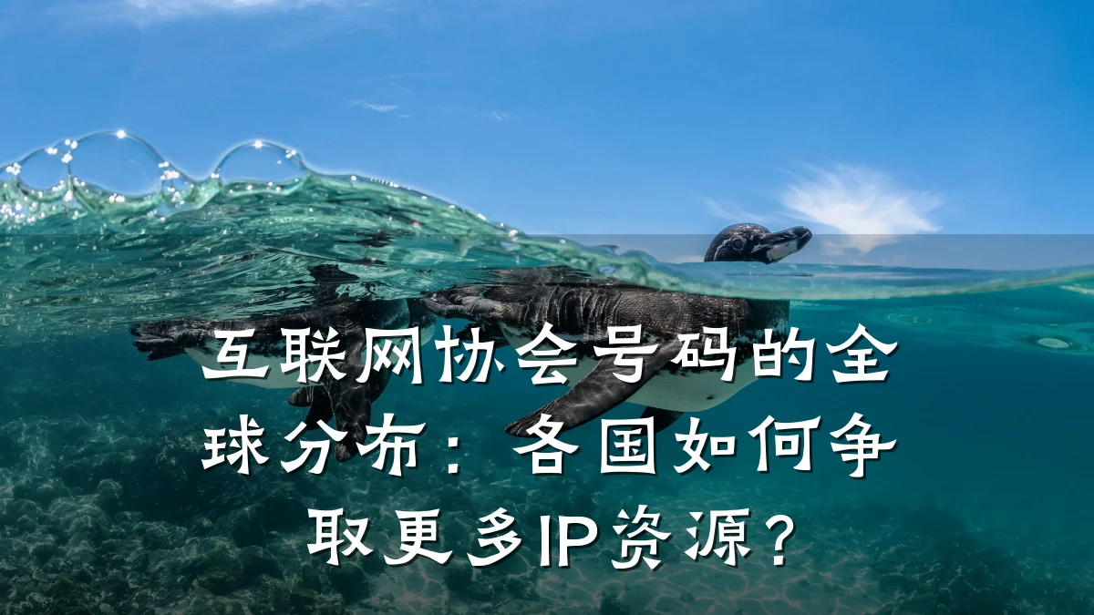 互联网协会号码的全球分布:各国如何争取更多IP资源?
