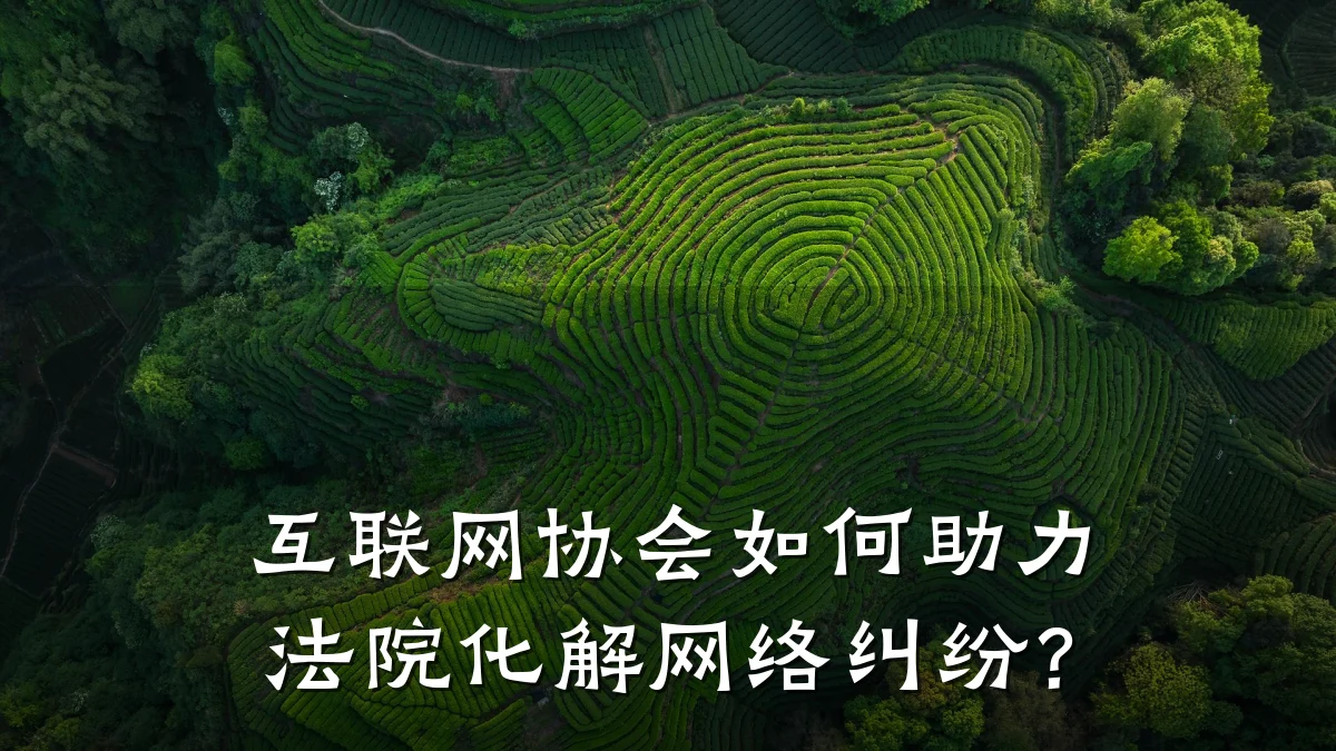 互联网协会如何助力法院化解网络纠纷？