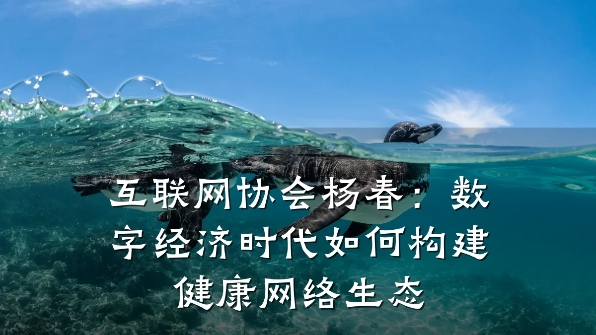 互联网协会杨春:数字经济时代如何构建健康网络生态