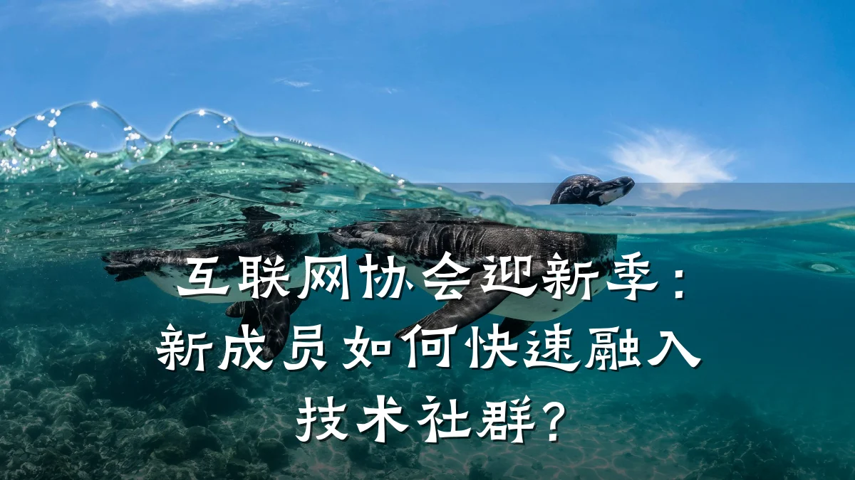 互联网协会迎新季：新成员如何快速融入技术社群？