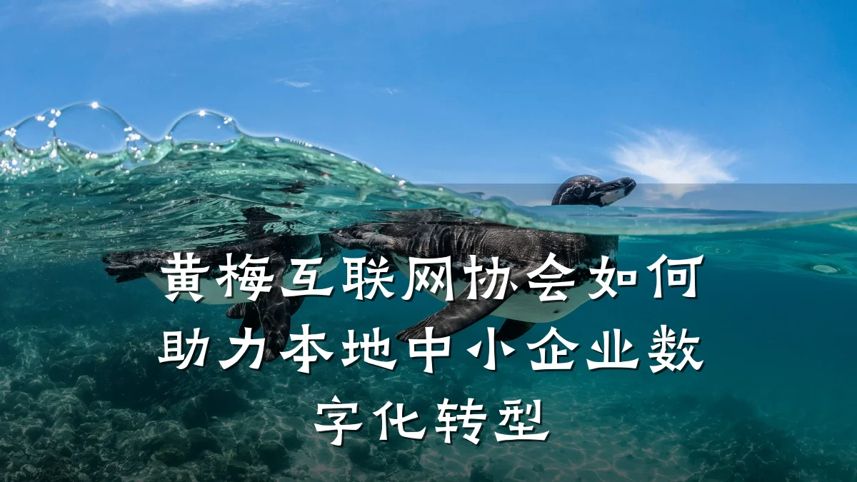 黄梅互联网协会如何助力本地中小企业数字化转型