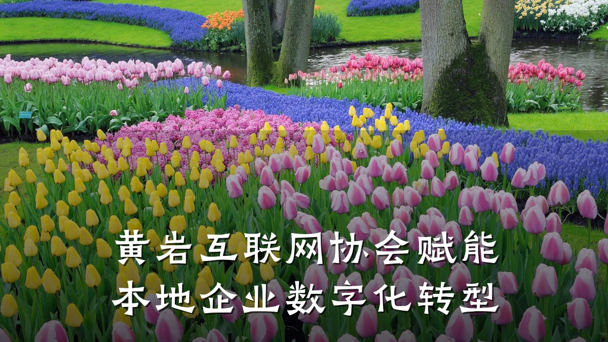 黄岩互联网协会赋能本地企业数字化转型