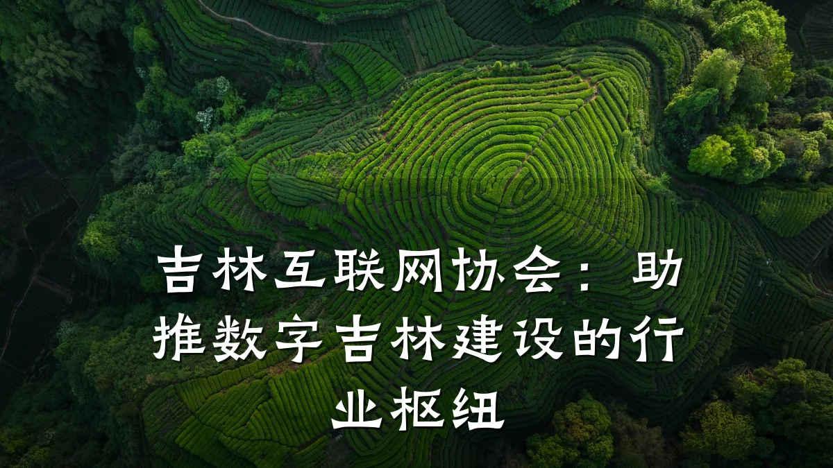 吉林互联网协会：助推数字吉林建设的行业枢纽