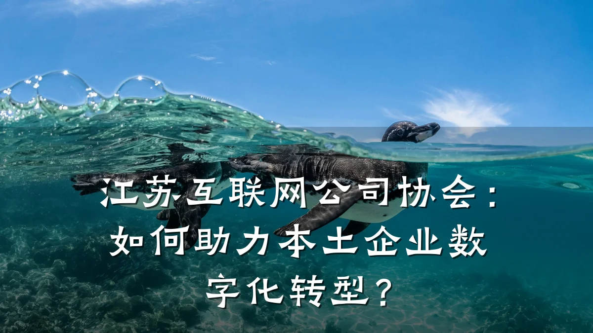 江苏互联网公司协会:如何助力本土企业数字化转型?