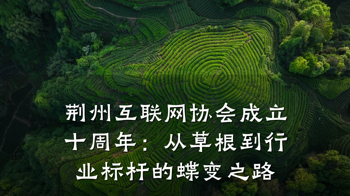 荆州互联网协会成立十周年:从草根到行业标杆的蝶变之路